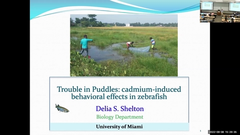 Thumbnail for entry Trouble in Puddles: cadmium-induced behavioral effects in zebrafish