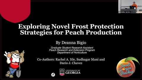 Thumbnail for entry Exploring Novel Frost Protection Strategies for Peach Production, Deanna Bigio