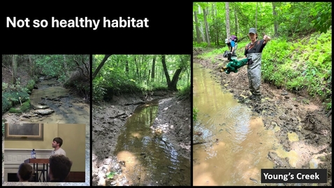 Thumbnail for Fish Out of Water: Research, Rescue and the Race to Save the Laurel Dace