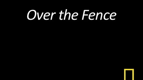 Thumbnail for Kitty Cams: Over the Fence