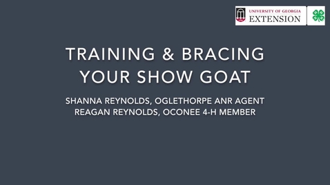 Thumbnail for Show Goat:Training and Bracing