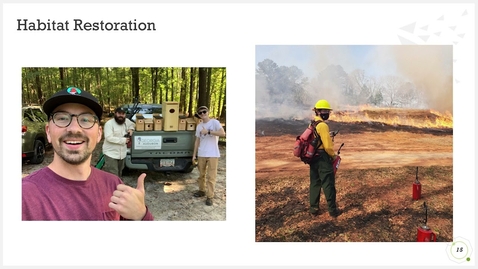 Thumbnail for Lights, Windows, Action! Birds in the Built Environment and the Threats They Face