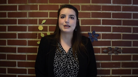 Thumbnail for Three Minute Thesis 2020: Sarah Mayo