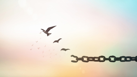Thumbnail for Prison Side of the School to Prison Pipeline