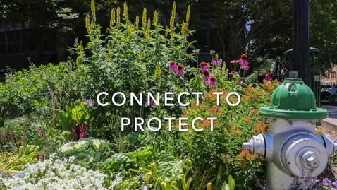 Thumbnail for Connect to Protect