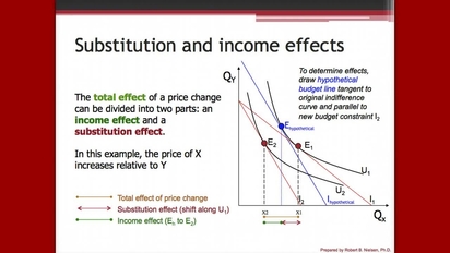 Module 4 Income And Substitution Effects Of Price Change University Of Georgia Online Learning