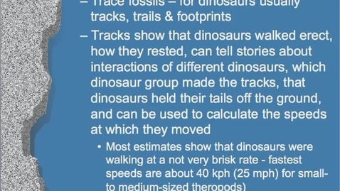 Thumbnail for Chapter 1 - To Catch a Dinosaur - Part 2 PowerPoint