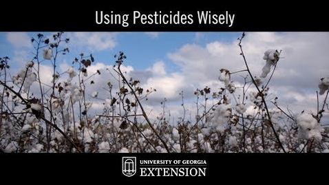 Thumbnail for entry Innovative UGA Extension Research - Using Pesticides Wisely