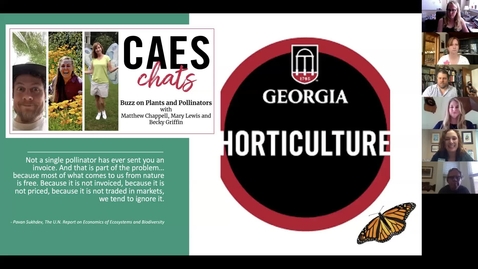 Thumbnail for entry CAES Chats - Buzz on Plants and Pollinators