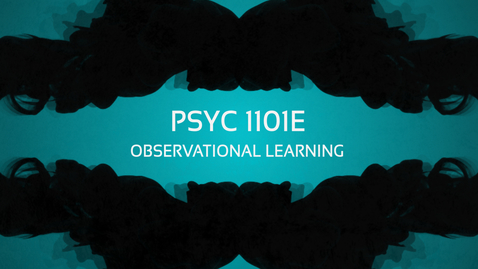 Thumbnail for entry Observational Learning