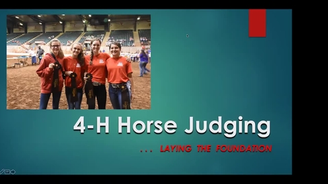 Thumbnail for entry 4-H Horse Judging.... Laying the Foundation!