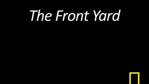 Thumbnail for Kitty Cams: The Front Yard