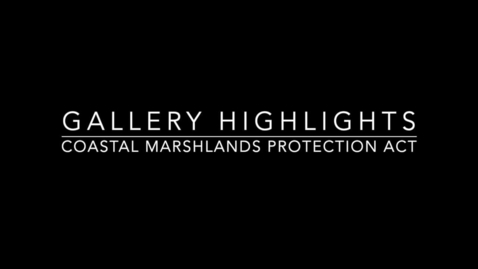 Thumbnail for entry Gallery Highlights: The Coastal Marshlands Protection Act