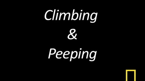 Thumbnail for entry Kitty Cams: Climbing &amp; Peeping
