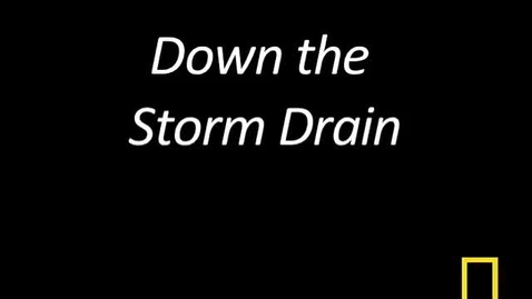 Thumbnail for Kitty Cams: Down the Storm Drain