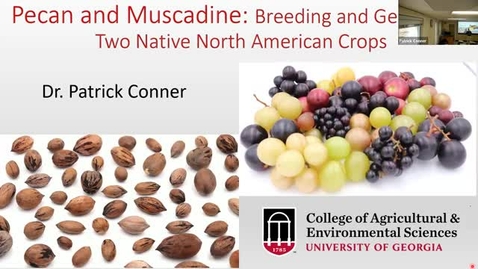 Thumbnail for entry Pecan and Muscadine: Breeding and Genetics of Two Native North American Crops, Patrick Conner
