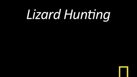 Thumbnail for Kitty Cams: Lizard Hunting