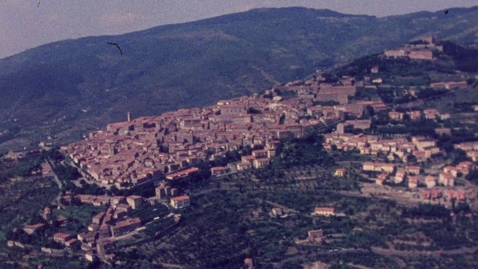 Thumbnail for Summer of Joy