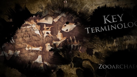 Thumbnail for Learning the Lingo - Zooarchaeology