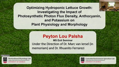 Thumbnail for entry Optimizing Hydroponic Lettuce Growth: Investigating the Impact of Photosynthetic Photon Flux Density, Anthocyanin, and Potassium on Plant Physiology and Morphology, Peyton Palsha