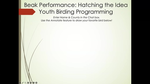 Thumbnail for Beak Performance: Hatching the Idea of Youth Birding Programming