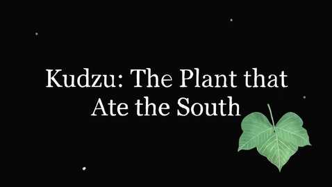 Thumbnail for Animation_Kudzu