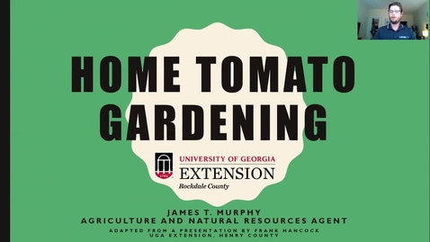 Thumbnail for entry Tomato Home Gardening