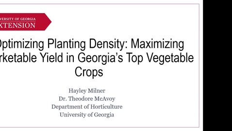Thumbnail for entry Optimizing Plant Density: Maximizing Marketable Yield in Georgia's Top Vegetable Crops, Hayley Milner
