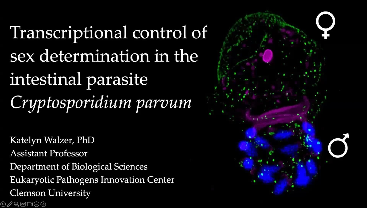 Dr. Katelyn Walzer (Mar 23)