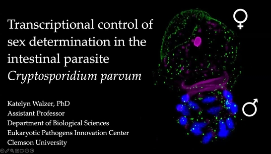 Dr. Katelyn Walzer (Mar 23)