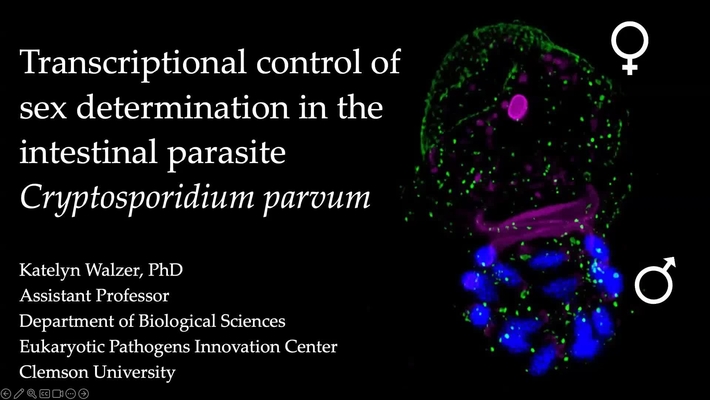 Dr. Katelyn Walzer (Mar 23)