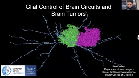 Thumbnail for SNRI Seminar Series: Benjamin Deneen, PhD | January 29, 2026