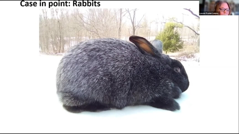 Thumbnail for Food Security and Production