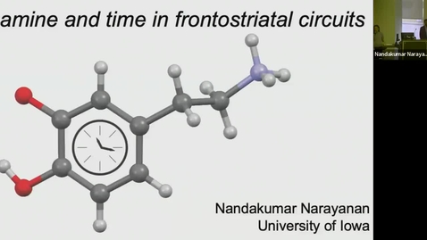 Thumbnail for SNRI Seminar Series: Dr. Nandakumar Narayanan | January 12th, 2023
