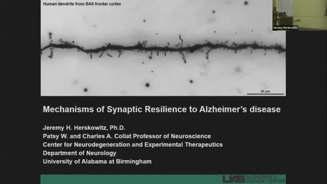 Thumbnail for SNRI Seminar Series: Jeremy Herskowitz, PhD | February 22nd, 2024