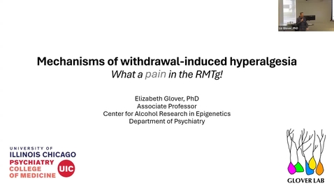 Thumbnail for SNRI Seminar Series: Elizabeth Glover, PhD | April 9, 2026