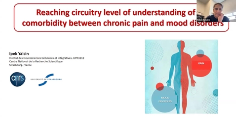 Thumbnail for SNRI Seminar Series: Dr. Ipek Yalcin Christmann | December 4, 2025