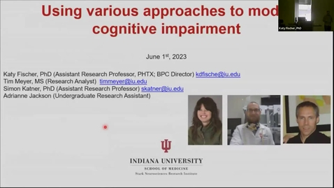 Thumbnail for SNRI Seminar Series: Core Series | Katy Fischer, PhD | Behavioral Phenotyping Core