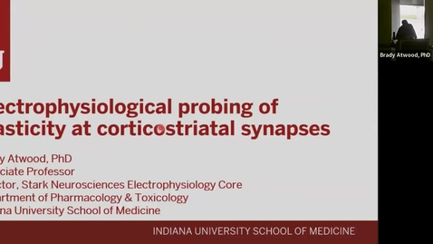 Thumbnail for SNRI Seminar Series: Core Series | Brady Atwood, PhD | Electrophysiology Core | May 18, 2023