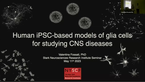Thumbnail for SNRI Seminar Series: Stem Cell Research Group | Valentina Fossati | May 11, 2023