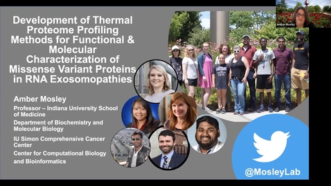 Thumbnail for SNRI Seminar Series: Amber Mosley