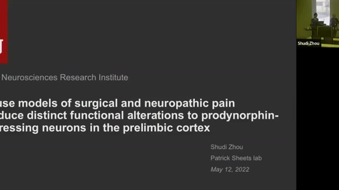 Thumbnail for SNRI Seminar: Shudi Zhou