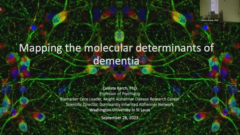 Thumbnail for SNRI Seminar Series: Celeste Karch | September 28th, 2023