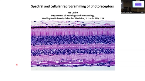 Thumbnail for SNRI Seminar Series: Joseph Corbo, MD, PhD | October 9, 2025