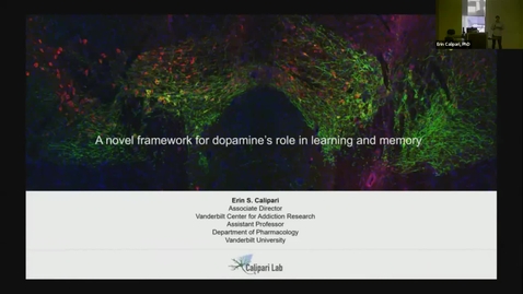 Thumbnail for SNRI Seminar Series | Erin Calipari, PhD | March 30, 2023