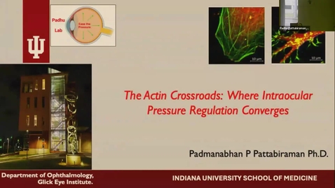 Thumbnail for SNRI Seminar Series: Padhu Pattabiraman, PhD | February 13, 2025
