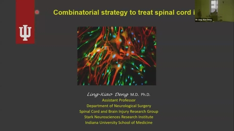 Thumbnail for SNRI Seminar Series: Ling-Xiao Deng, MD, PhD | December 7th, 2023 | Membership Seminar
