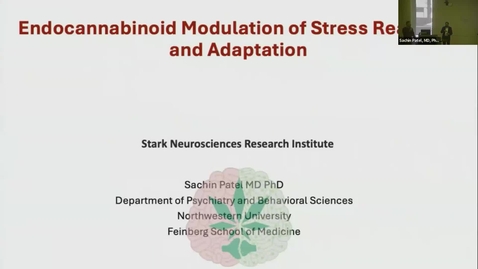 Thumbnail for SNRI Seminar Series: Sachin Patel, MD, PhD | March 13, 2025