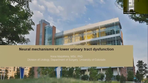 Thumbnail for SNRI Seminar Series: Anna Malykhina, PhD | April 10, 2025