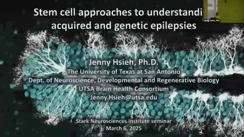 Thumbnail for SNRI Seminar Series: Jenny Hsieh, PhD | March 6, 2025